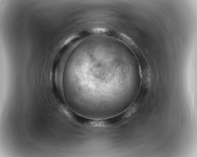 X0000085750762200703161054
