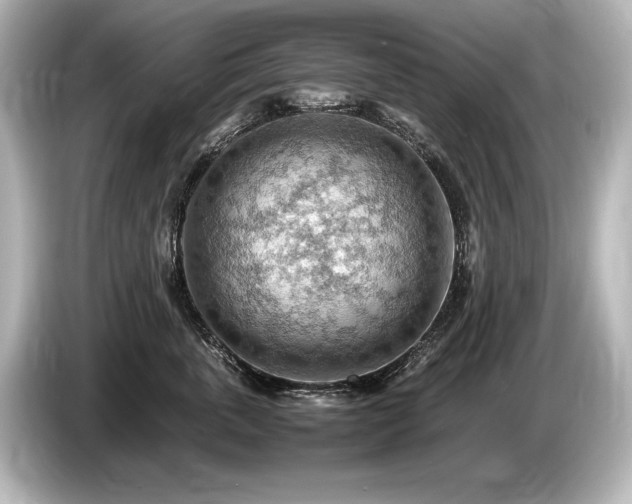 X0000085750763200703161054