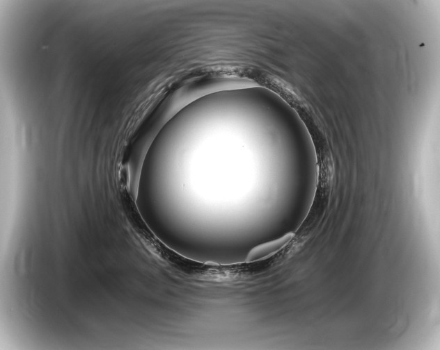 X0000085750764200703161054