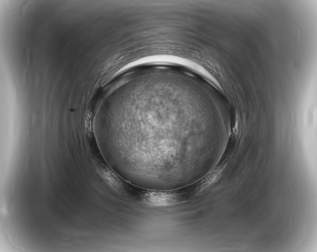 X0000085750766200703161054