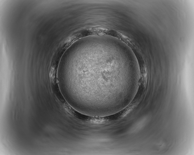 X0000085750767200703161054