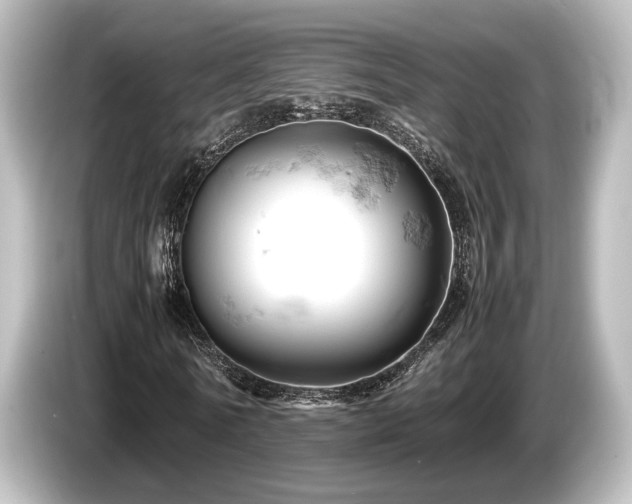 X0000085750770200703161054