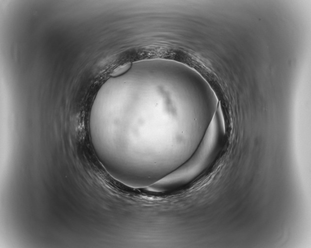 X0000085750771200703161054