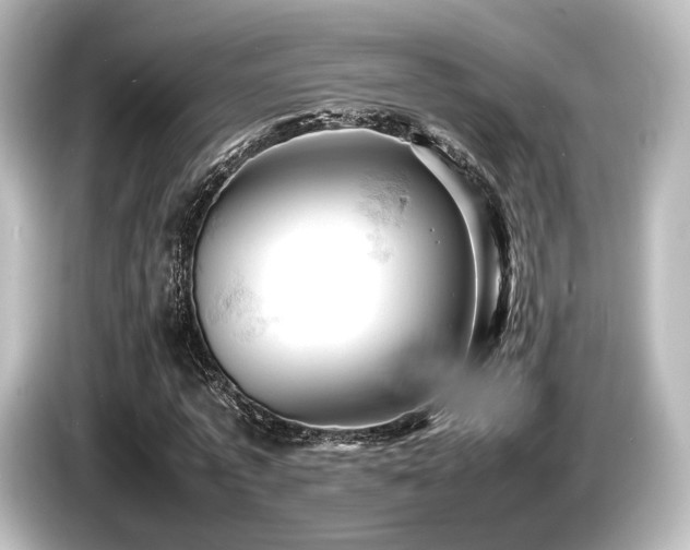 X0000085750773200703161054