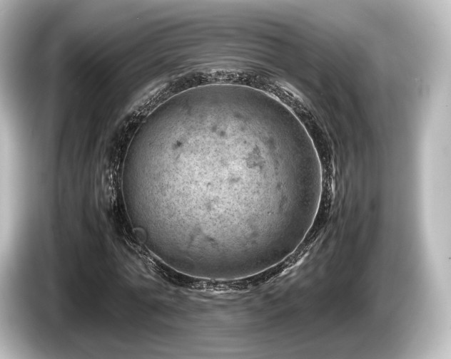X0000085750774200703161054