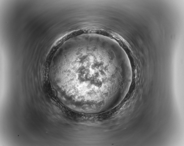 X0000085750775200703161054