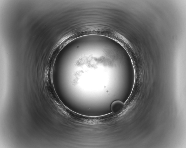 X0000085750778200703161054