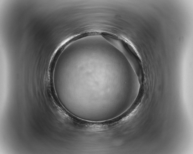 X0000085750779200703161053