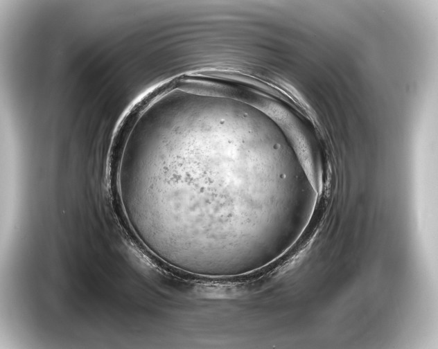 X0000085750780200703161053