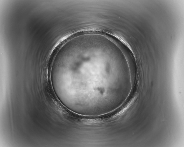 X0000085750781200703161053