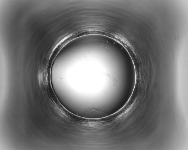 X0000085750782200703161053