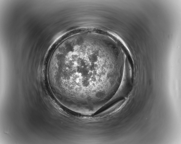 X0000085750783200703161053