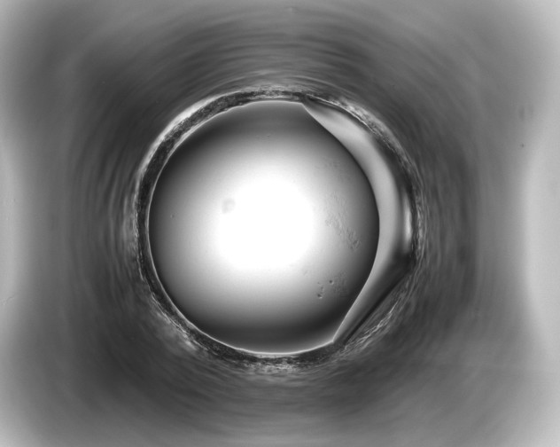 X0000085750784200703161053