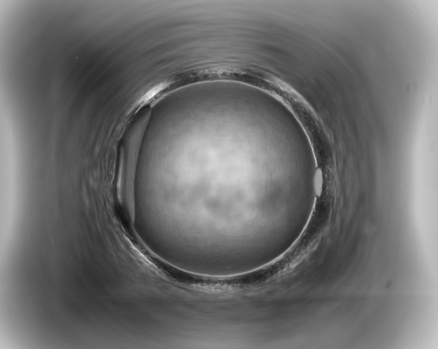 X0000085750785200703161053