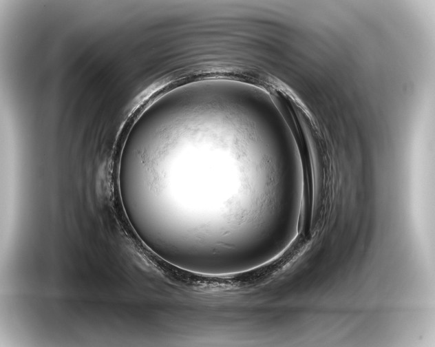 X0000085750786200703161053