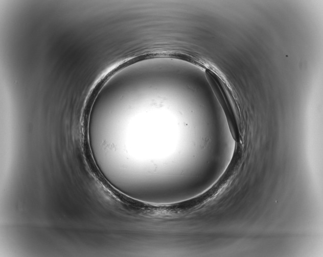 X0000085750787200703161053