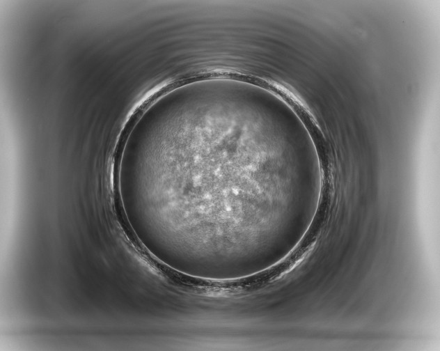 X0000085750790200703161053