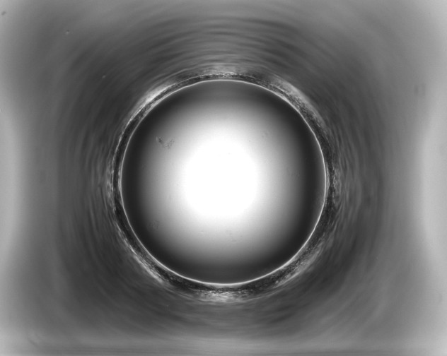 X0000085750794200703161053