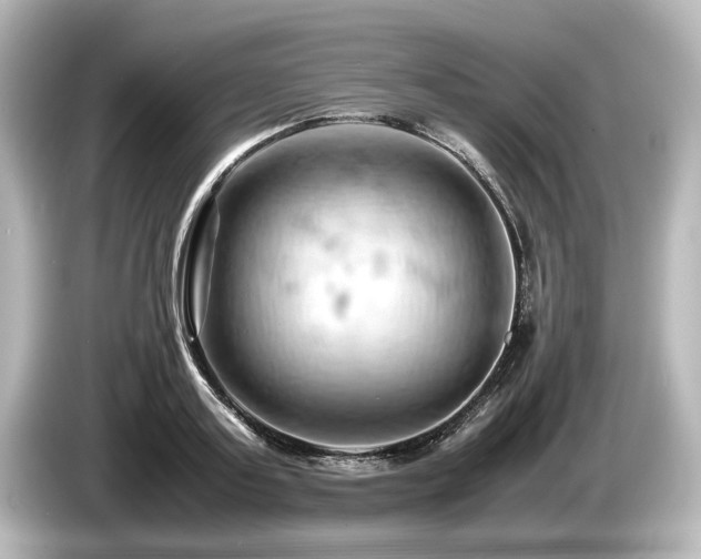 X0000085750795200703161053