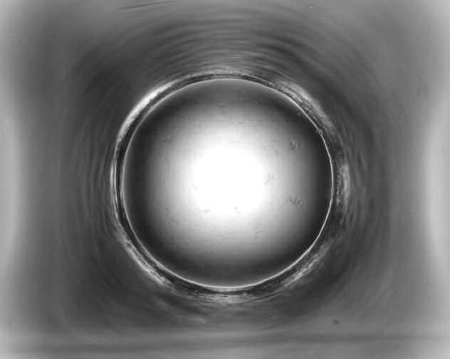 X0000085750796200703161053