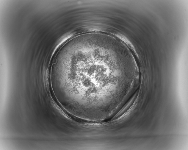 X0000085750798200703161053