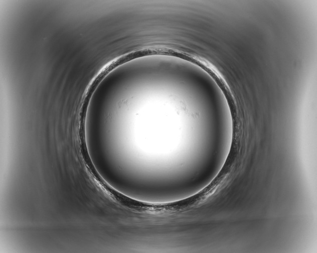 X0000085750799200703161053