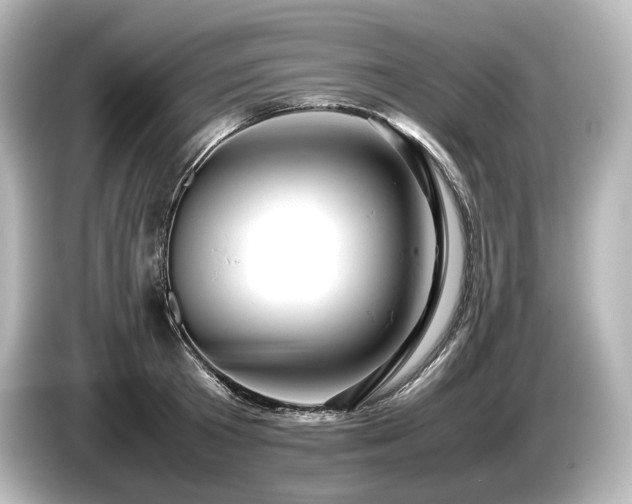 X0000085750801200703161053