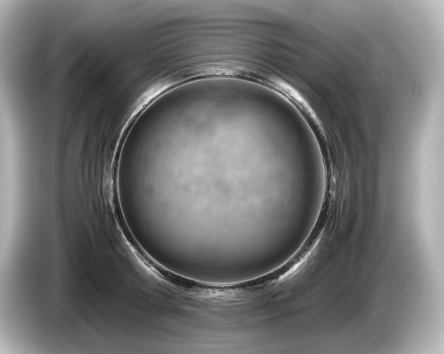 X0000085750802200703161053