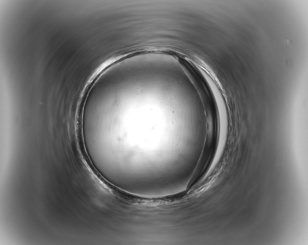X0000085750803200703161053