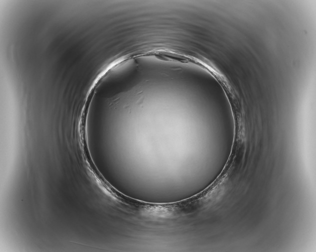 X0000085750806200703161053