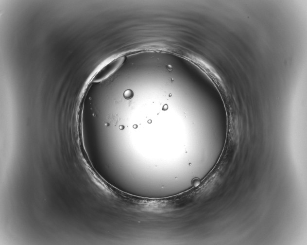 X0000085750808200703161053