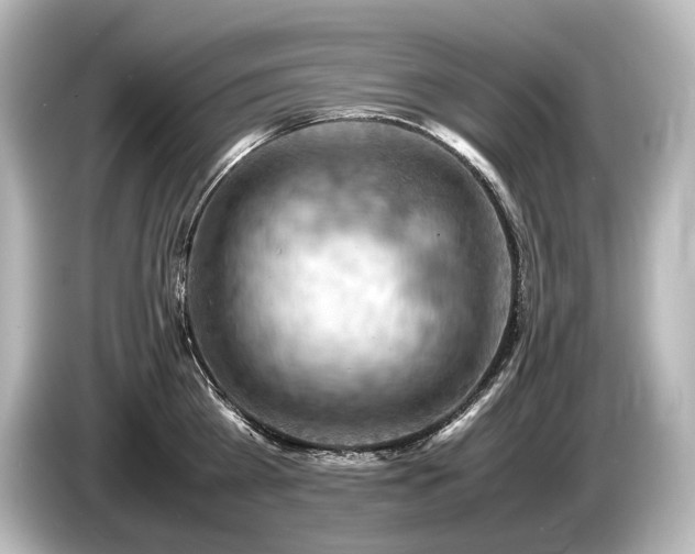 X0000085750809200703161053