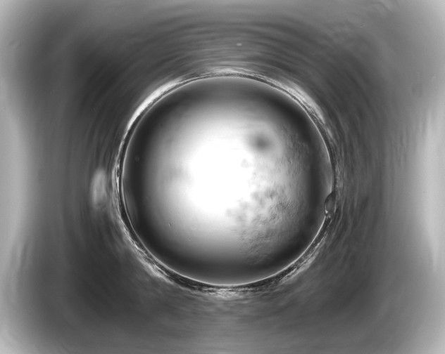 X0000085750814200703161053