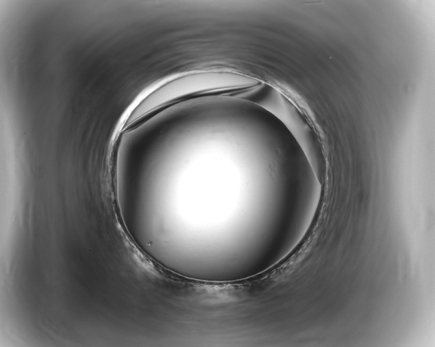 X0000085750816200703161053