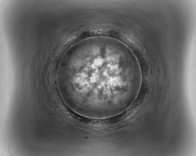 X0000085750817200703161052