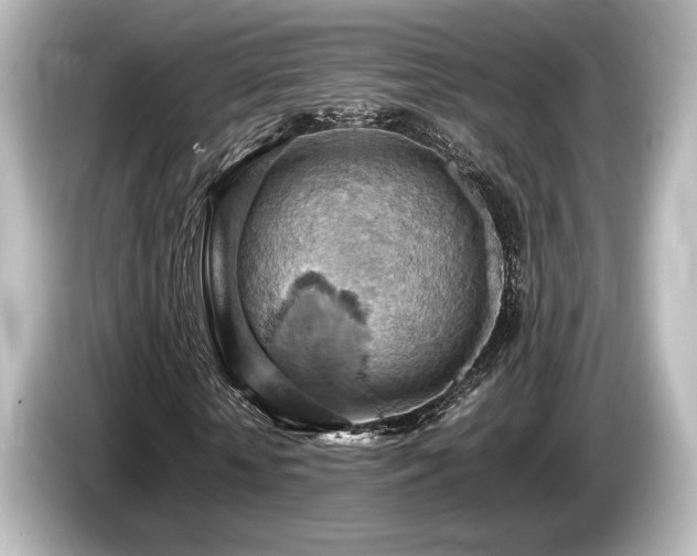 X0000085750818200703161052
