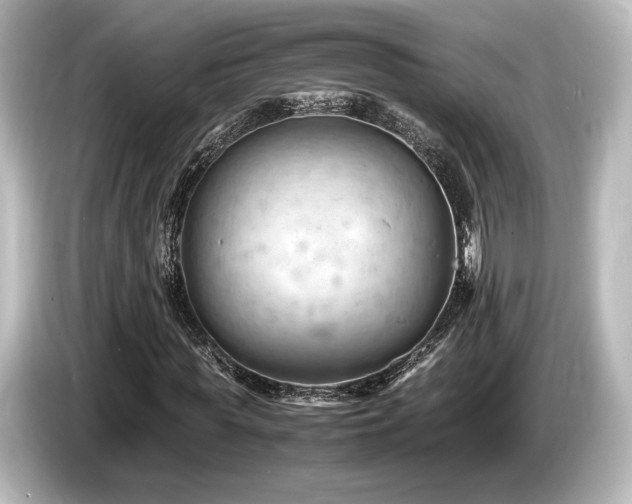X0000085750819200703161052