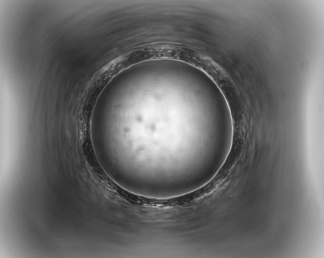 X0000085750821200703161052