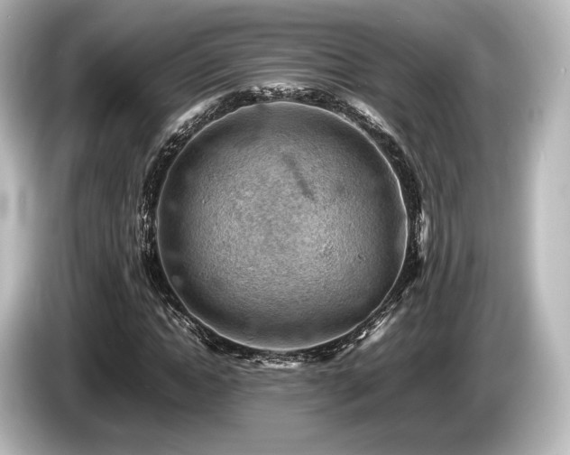 X0000085750822200703161052