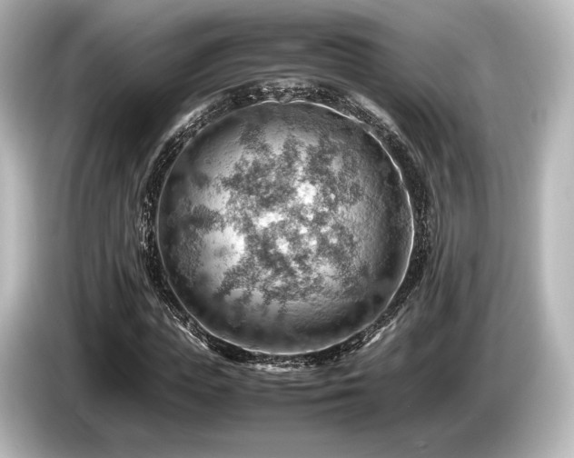X0000085750823200703161052