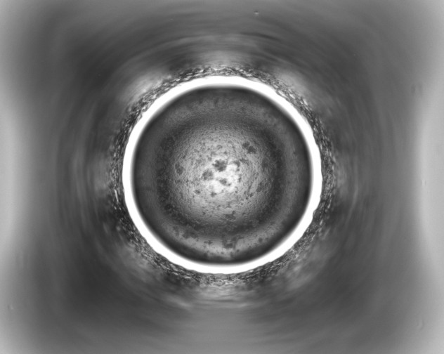 X0000085750824200703161052