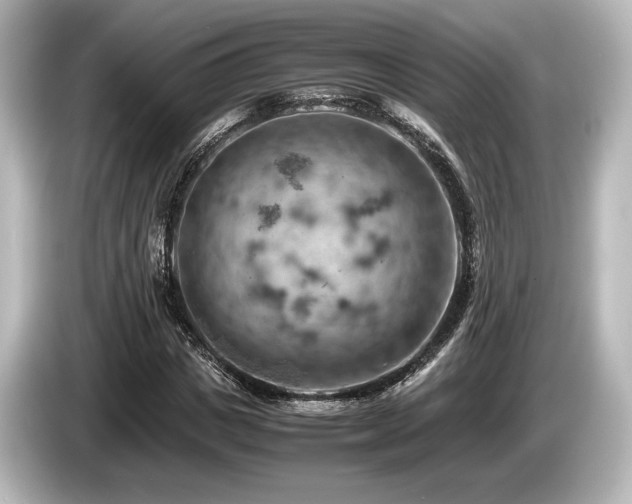 X0000085750825200703161052