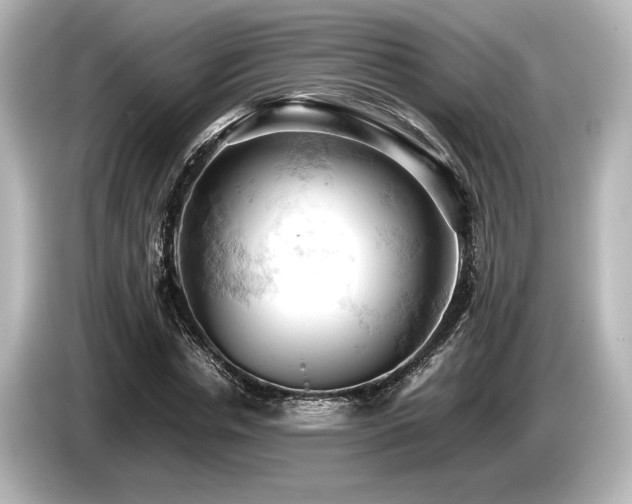 X0000085750826200703161052