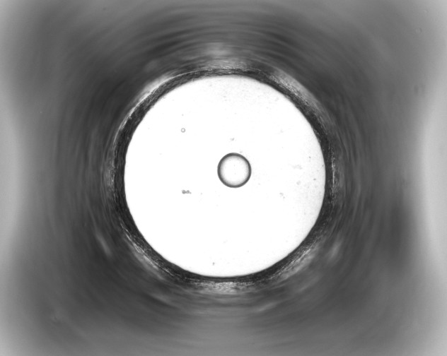 X0000085750828200703161052