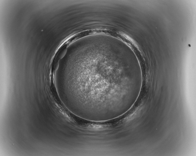 X0000085750829200703161052