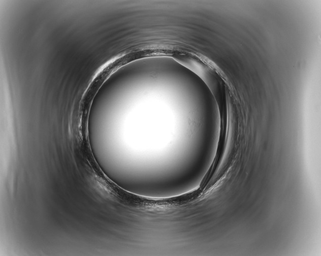 X0000085750830200703161052