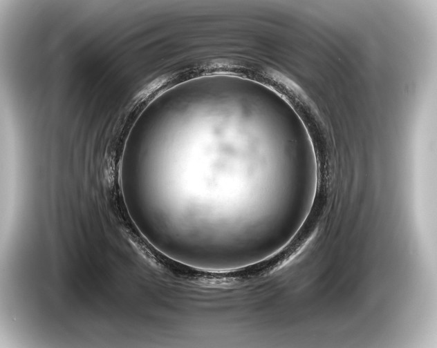 X0000085750833200703161053