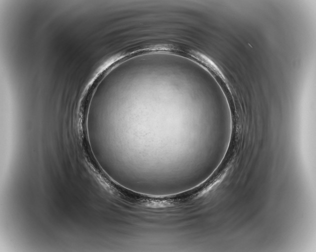 X0000085750835200703161053