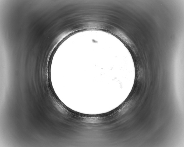 X0000085750836200703161053