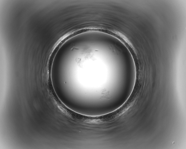 X0000085750837200703161053